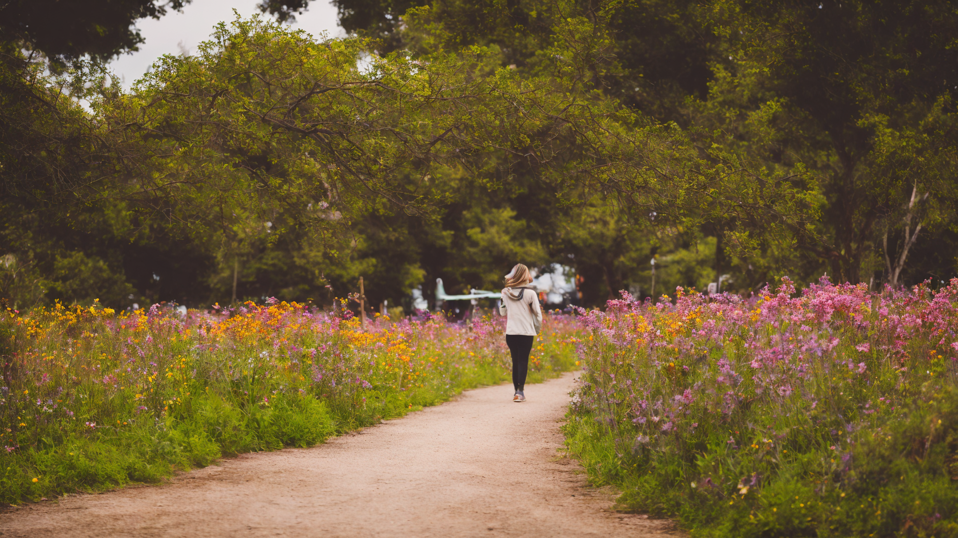 美丽高清山水风景图片