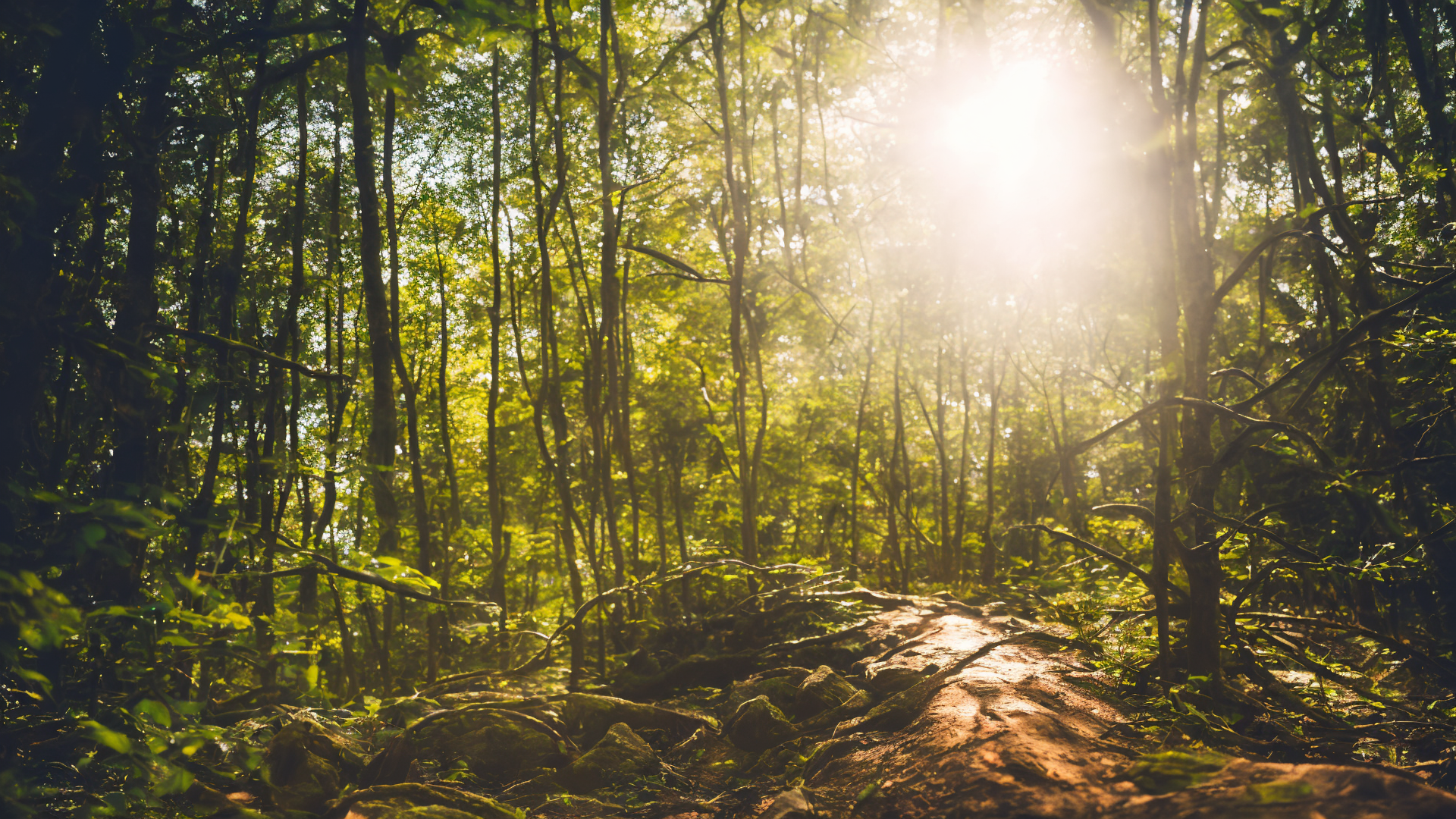 美丽高清山水风景图片