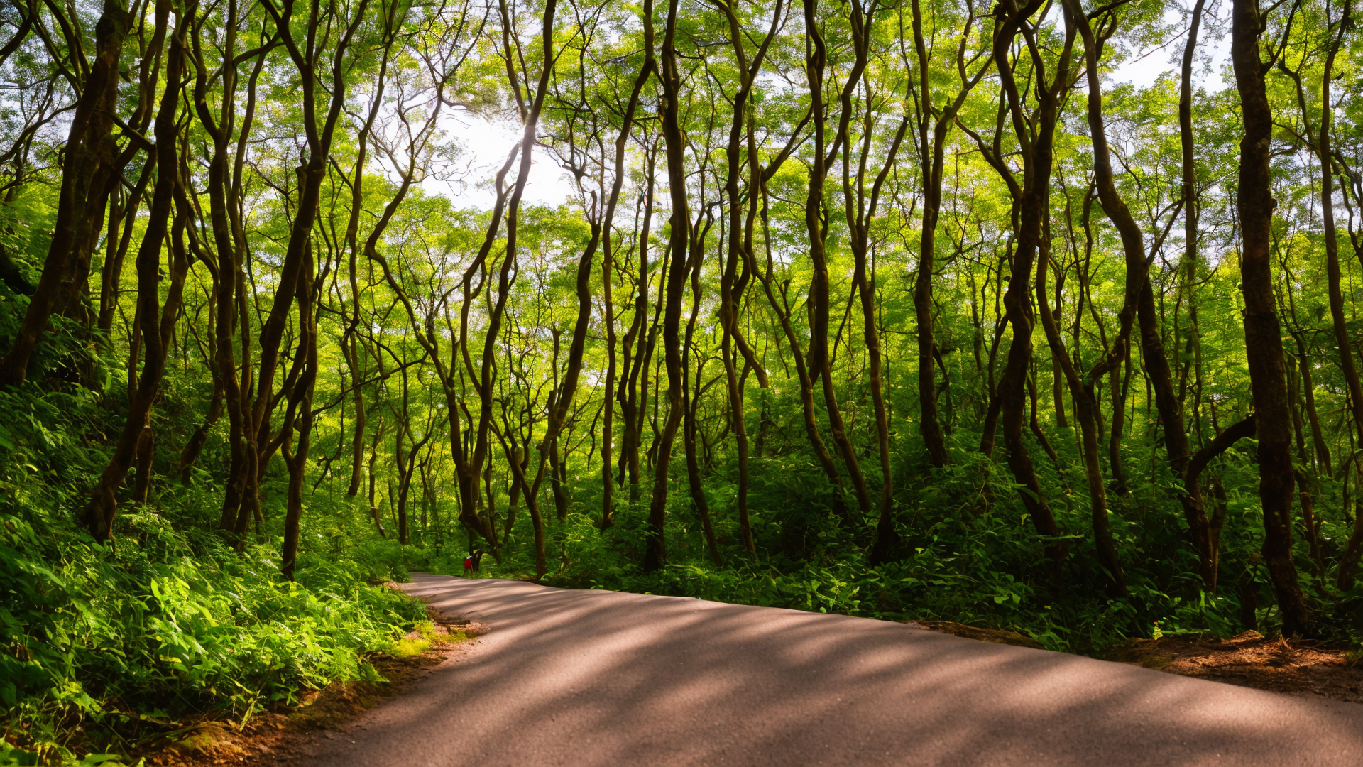 美丽漂亮森林山水风景图片大全